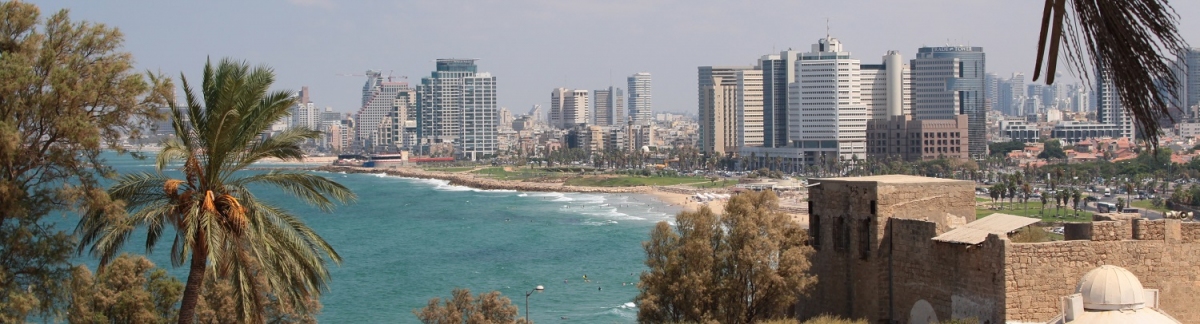 Panorama Tel Aviv (Alexander Mirschel)  Copyright 
Informations sur les licences disponibles sous 'Preuve des sources d'images'